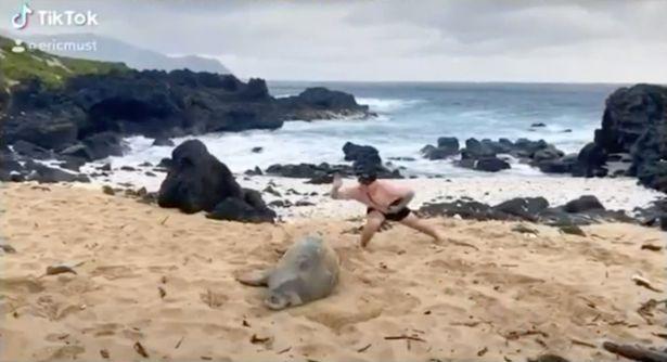 Άνδρας πάει σε προστατευόμενη παραλία χτυπά μια φώκια και το «ανεβάζει» στο διαδίκτυο! (βίντεο)
