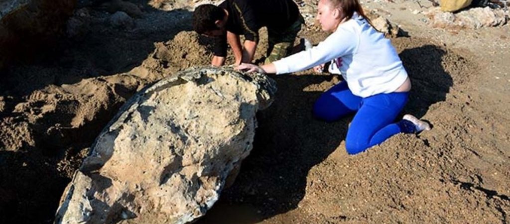 Νότια Αμερική: Βρέθηκαν απολιθώματα γιγάντιας χελώνας που είχε μέγεθος… αυτοκινήτου – Ζύγιζε 1,25 τόνους