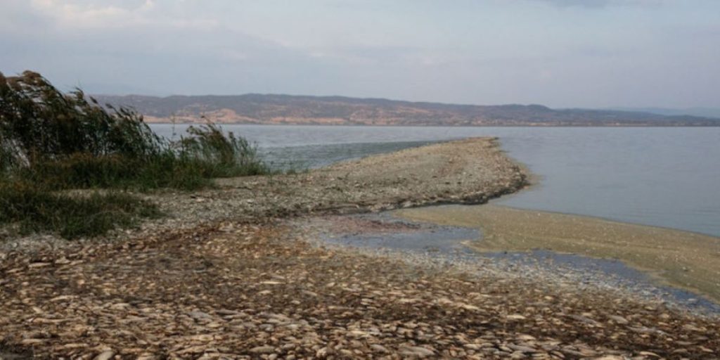 Κλιματική αλλαγή: Αυτές οι περιοχές της Ελλάδας κινδυνεύουν με υποβάθμιση