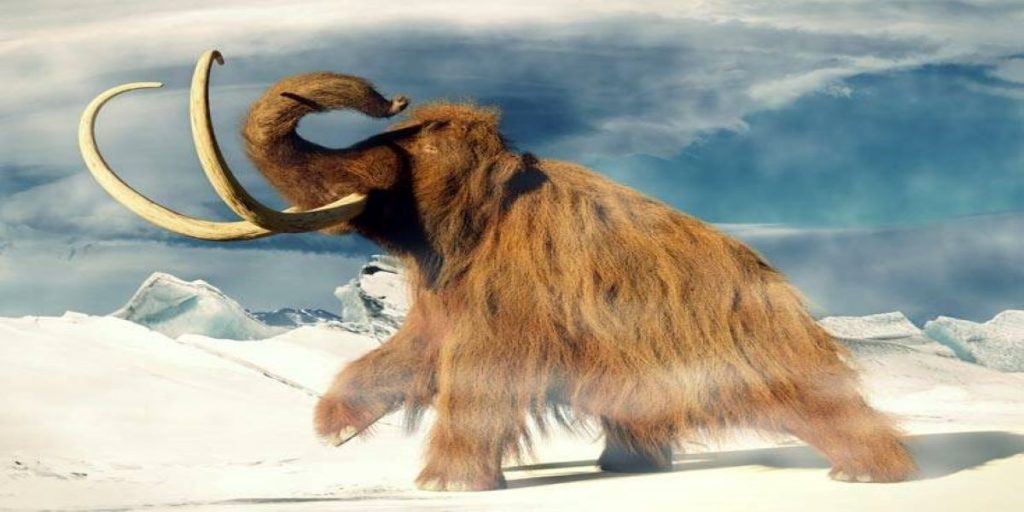 Επιστήμονες «ανέστησαν» εργαστηριακά γονίδια από μαμούθ – Γυρνάνε τον χρόνο 4.500 χρόνια πίσω… (φώτο)