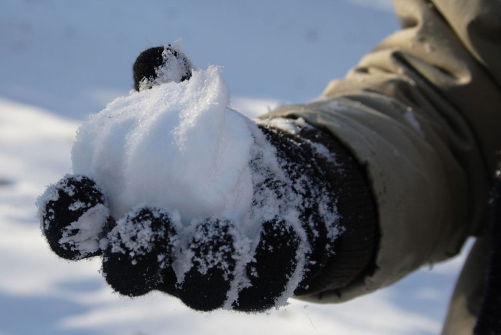 Ξεκαρδιστικό: Μπόμπιρας συναγωνίζεται τα σκυλιά στο χιονοπόλεμο και γίνεται viral (βίντεο)