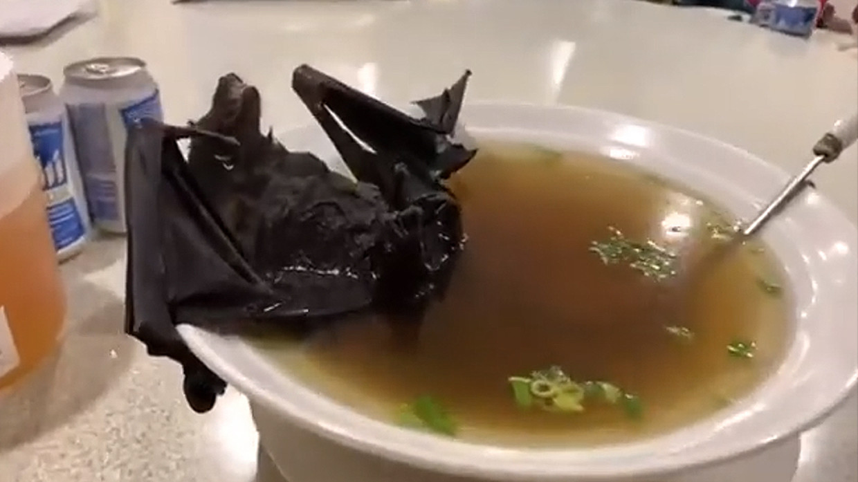 Ποιος κορωνοϊός; Οι Κινέζοι συνεχίζουν να τρώνε νυχτερίδες – σκυλιά και άλλα ζώα! (βίντεο)