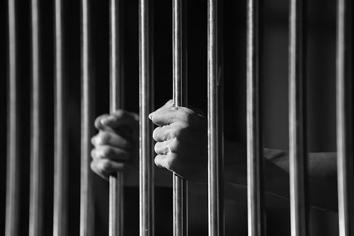 ΗΠΑ: Έναν χρόνο φυλακή σε άντρα που επιχείρησε να πνίξει το κουτάβι της συντρόφου του