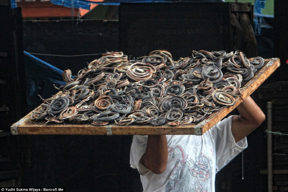 Ανατριχιαστικό: Έτσι φτιάχνονται οι τσάντες από φίδι (φωτο)