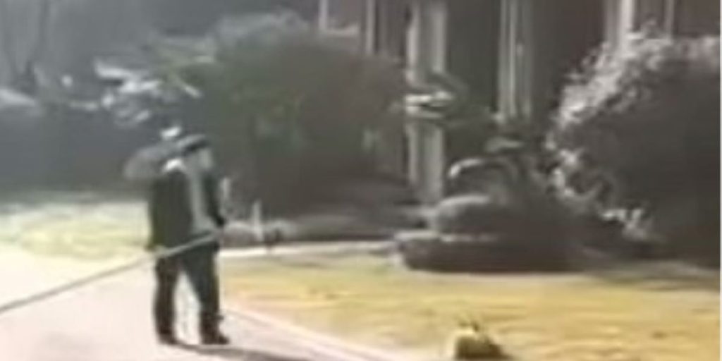 Κορωνοϊός: Κινέζοι αξιωματούχοι εκτελούν κατοικίδια για «να μην εξαπλωθεί ο ιός» (σκληρές εικόνες)