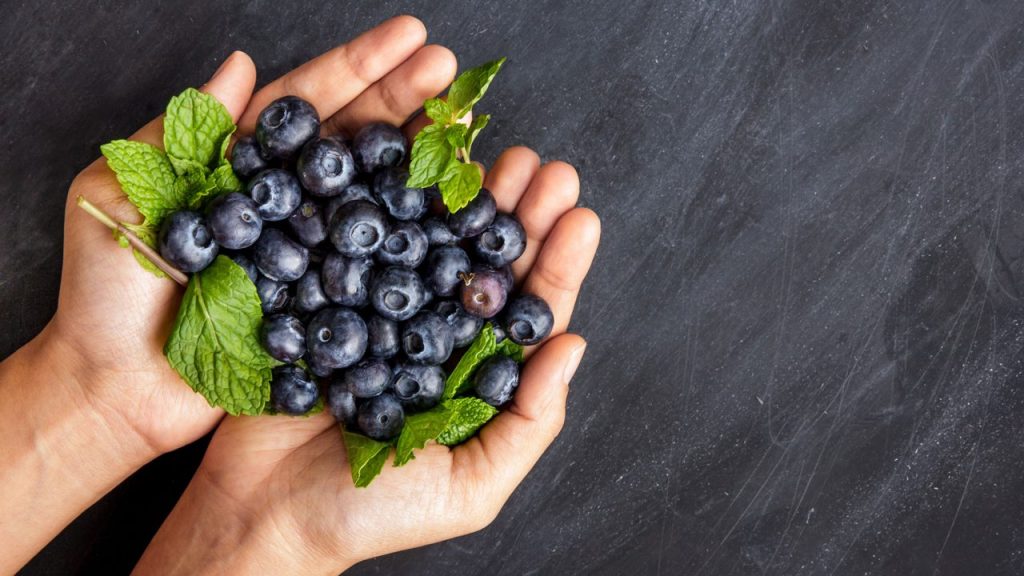 Όλα όσα πρέπει να γνωρίζετε για τα μύρτιλα – Ποια τα οφέλη για τον οργανισμό