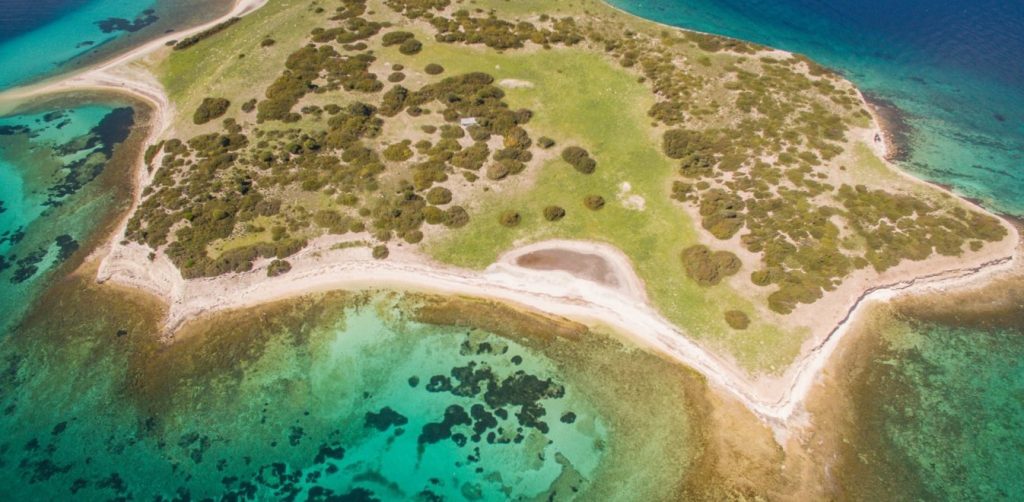 «Κλειστή δομή για αλλοδαπούς σε ακατοίκητο νησί» – Η τοποθεσία που πρότεινε ο περιφερειάρχης Β.Αιγαίου