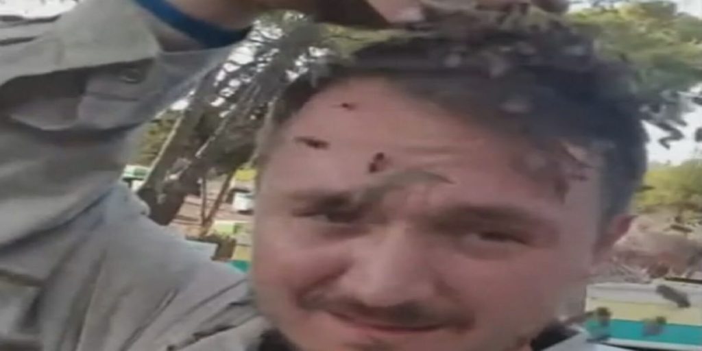 Ηλεία: Ο μελισσοκόμος που έγινε viral αποκαλύπτει – «Οι μέλισσες με αναγνωρίζουν» (βίντεο)