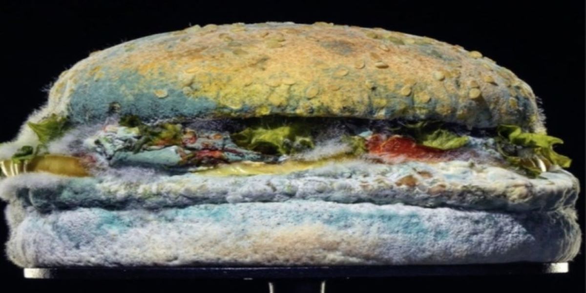 Γκάφα ολικής από τα Burger King: Διαφημίζουν burger αλλά προκαλούν… αηδία (βίντεο)