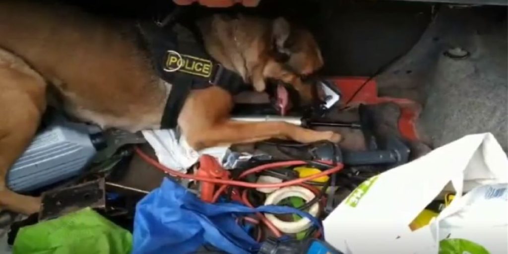 Η «Minnie» εν δράσει: Το λαγωνικό της ΕΛΑΣ ξετρύπωσε ηρωίνη σε αυτοκίνητο (βίντεο)