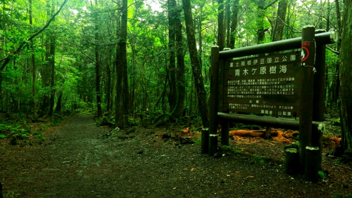 Τολμάς να μπεις; – Το δάσος που όποιος πατάει το πόδι του αυτοκτονεί (φωτο)