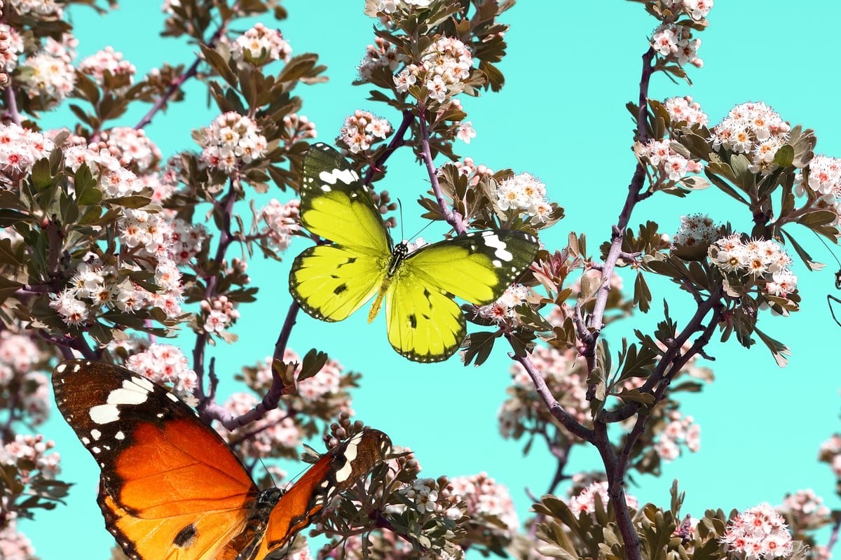 4+1 πράγματα που σίγουρα δεν ξέρεις για τον Μάρτιο