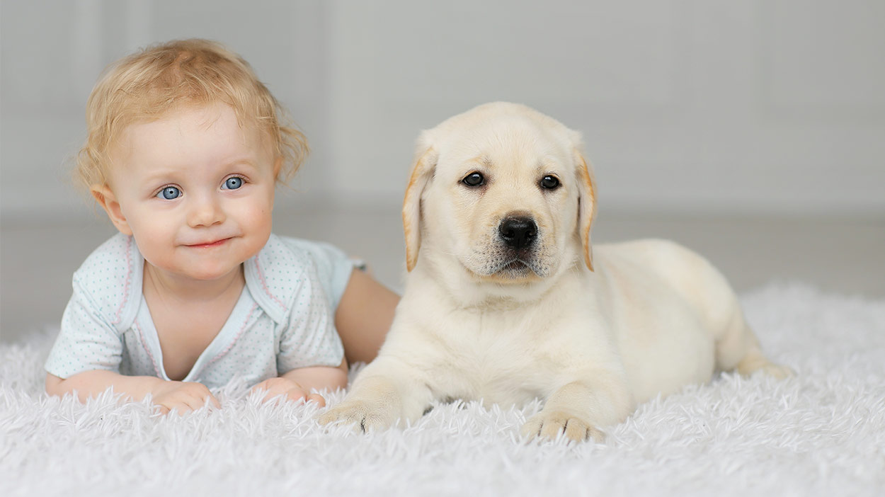 Δείτε τα πέντε πράγματα που μπορεί να μάθει ένα παιδί που μεγαλώνει μαζί με σκύλο