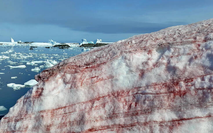 Δείτε για ποιο λόγο βάφτηκε κόκκινος ο πάγος της Ανταρκτικής (φώτο)