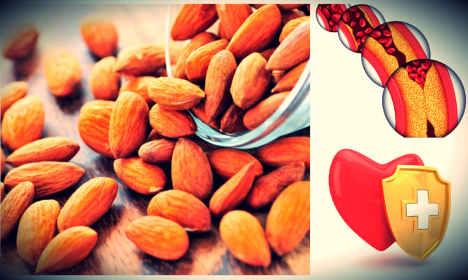 Από ποιον καρκίνο προστατεύουν τα αμύγδαλα – Μειώνουν και χοληστερίνη, καρδιακά!