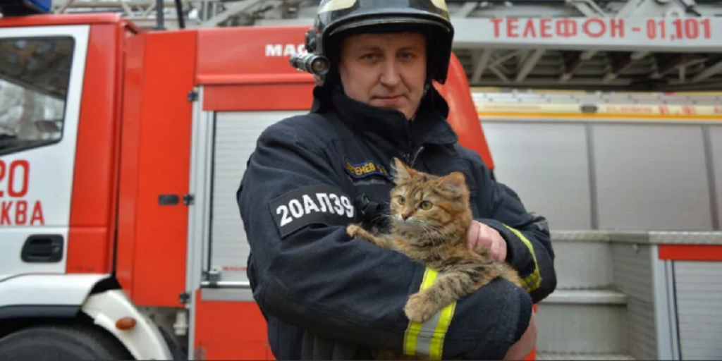 Μόσχα: Δείτε το λόγο που μια γατούλα αναδείχτηκε σε μασκότ της πυροσβεστικής