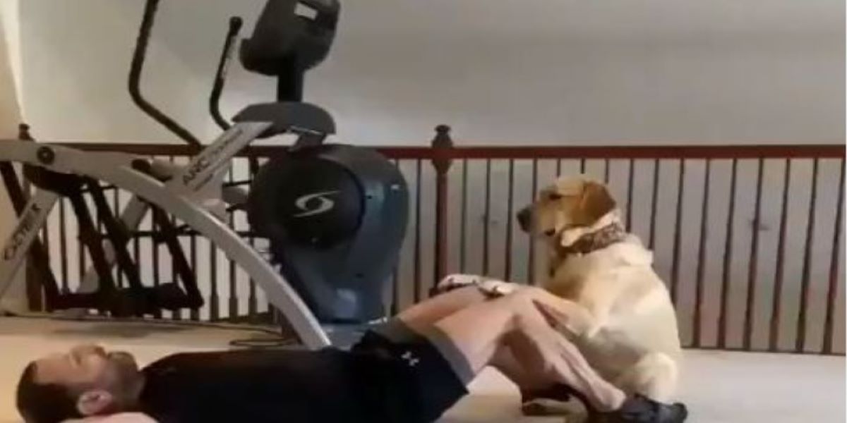 Ο κορωνοϊός θέλει… φαντασία: Αντί για γυμναστήριο ζητήστε τη βοήθεια του σκύλου σας (βίντεο)