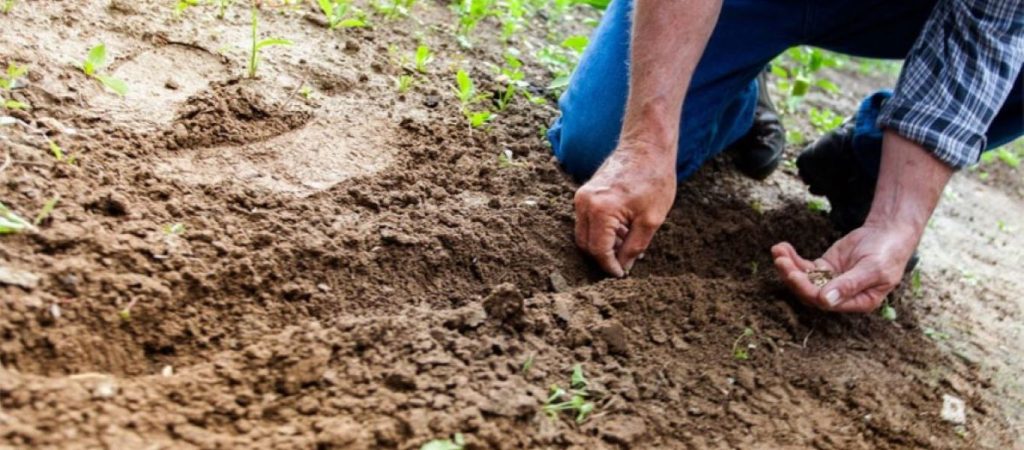 Νέος νόμος για τους αγροτικούς συνεταιρισμούς – Ποιοι μπορεί να γίνουν μέλη