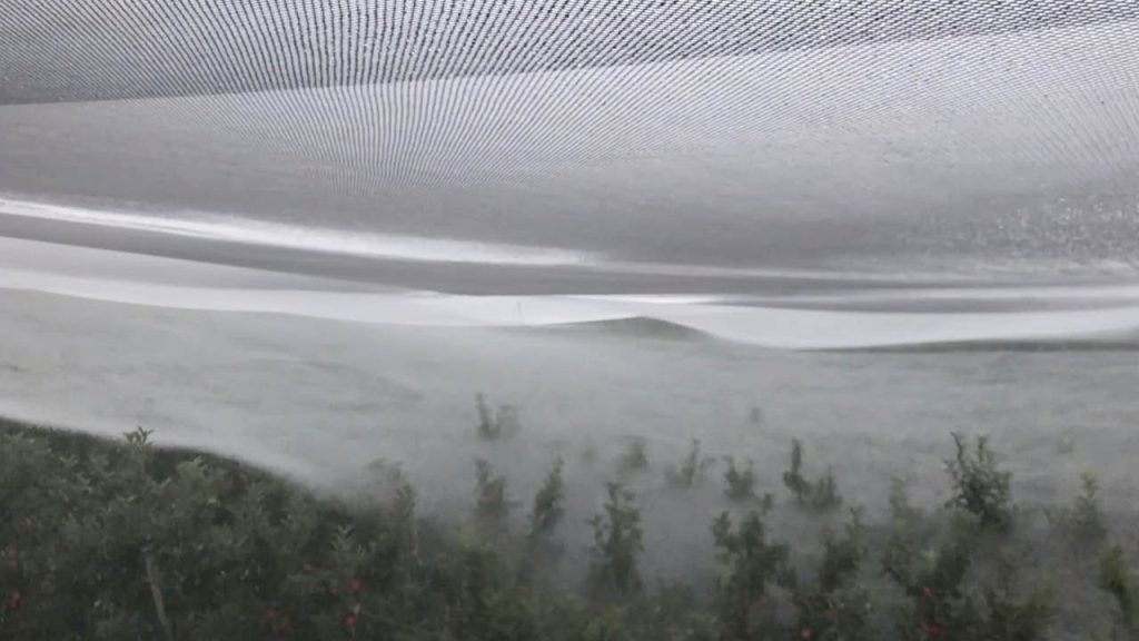 Ο Βροχοποιός: Ένα βίντεο… ότι πρέπει για καραντίνα!