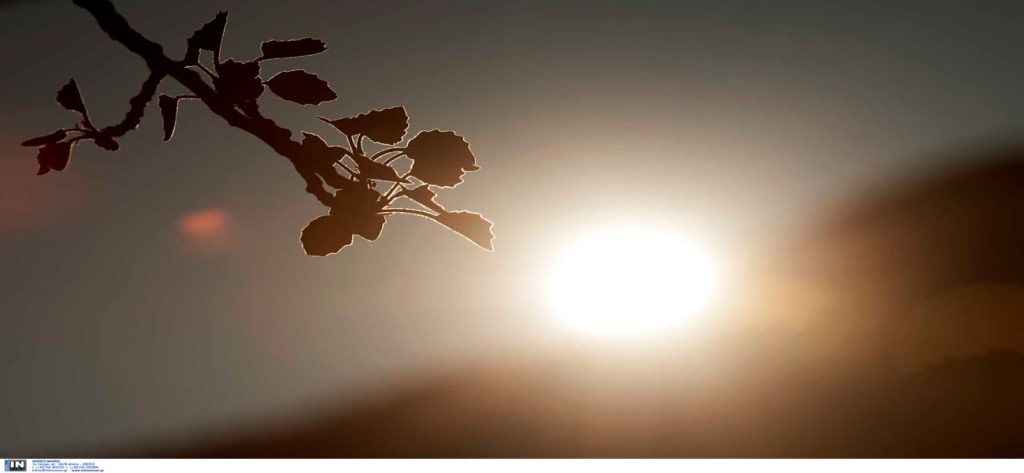 Εαρινή ισημερία: Την Παρασκευή αρχίζει επίσημα η άνοιξη