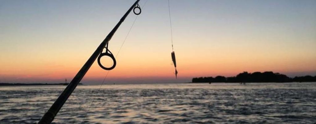 Απίστευτη ψαριά για Αυστραλό αλιέα – Έπιασε σφυρίδα 100 κιλών με μήκος πάνω από 2 μέτρα (φώτο)