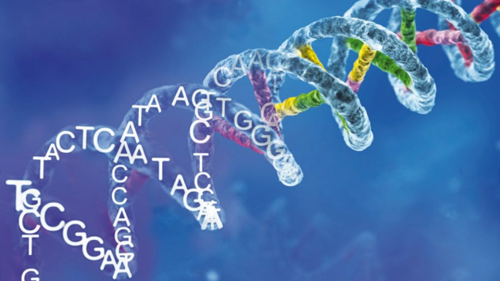 Τελικά μπορεί ένας ο άνθρωπος να ζήσει ως και 500 χρόνια;