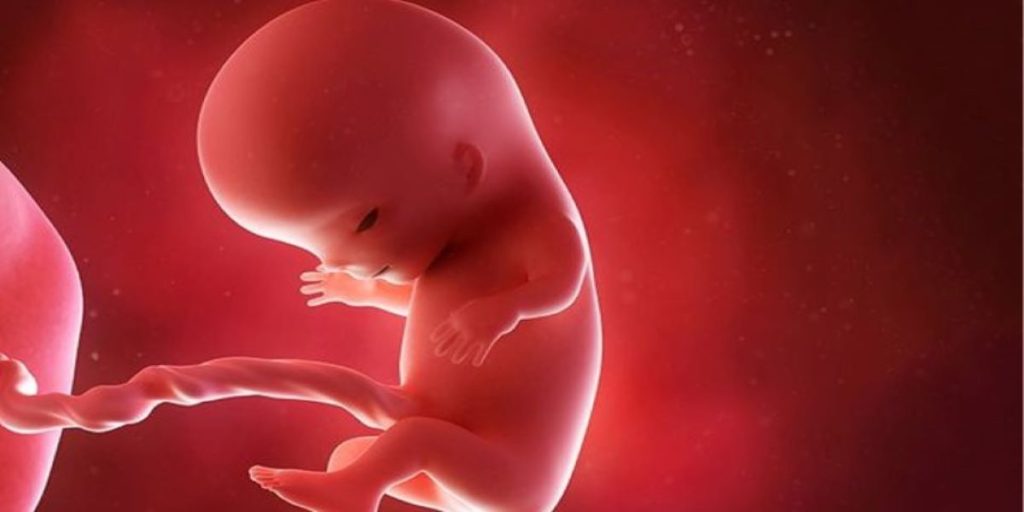 ΗΠΑ: Απαγόρευση αμβλώσεων σε Οχάιο και Τέξας λόγω πανδημίας