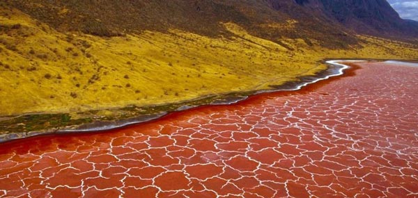 Εντυπωσιακό θέαμα: Η ασυνήθιστη «ραγισμένη» κόκκινη λίμνη! (φωτο)