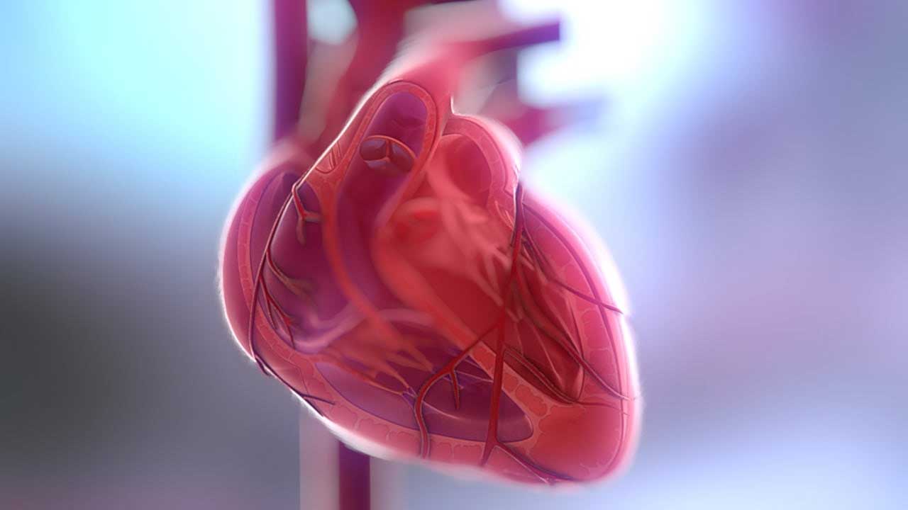 O κορωνοϊός «στοχεύει» την καρδιά: Τι έδειξαν νεότερα δεδομένα