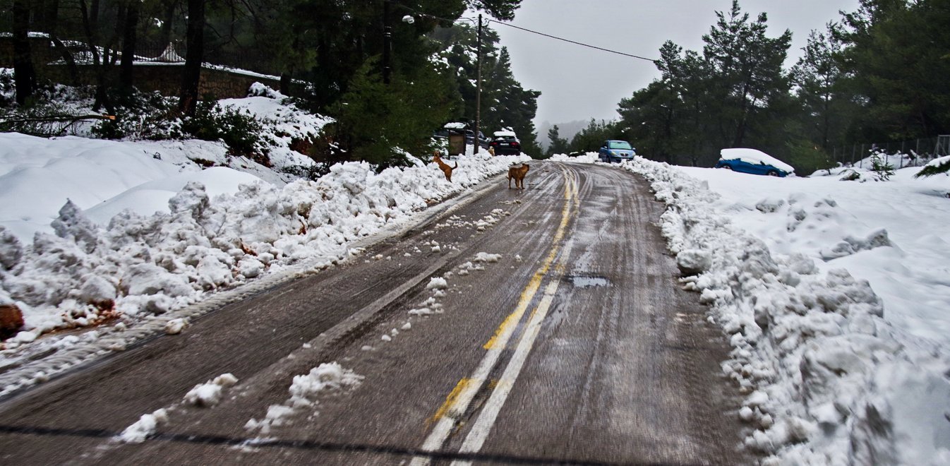 Έντονη χιονόπτωση στο Χορτιάτη – Κλειστοί οι δρόμοι Αγ. Βασιλείου και Ωραιοκάστρου