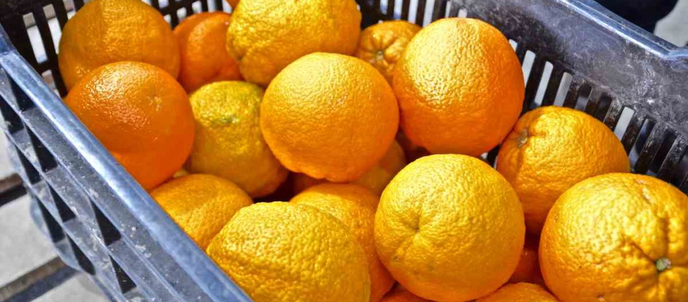Άνοδος 50% συνολικά στην αγορά εσπεριδοειδών τις μέρες του κορωνοϊού  – Αγοράζουν πορτοκάλια για να τον «νικήσουν»