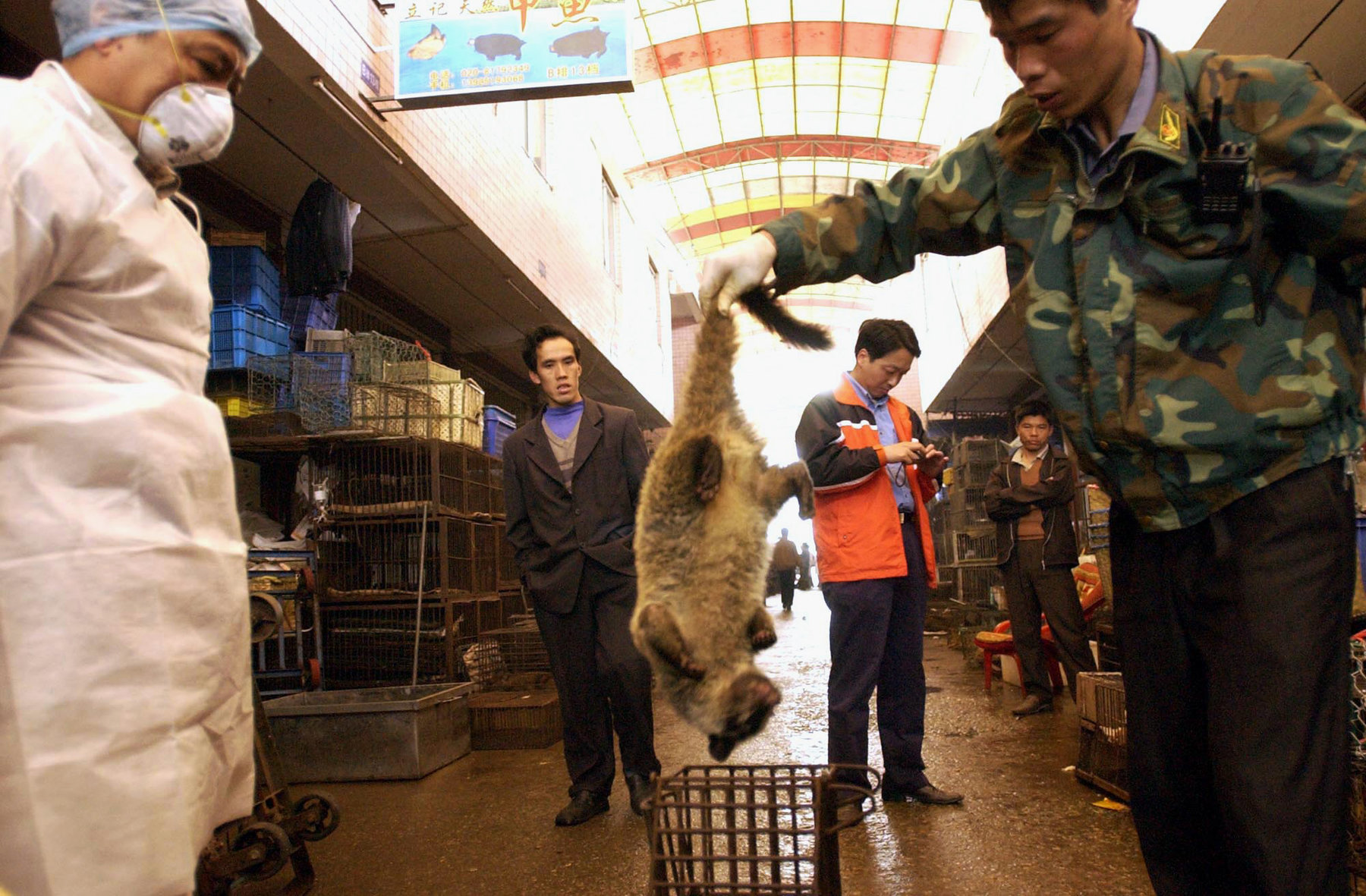 Δεν καταλαβαίνουν από κορωνοϊό οι Κινέζοι: Σοκαριστικές εικόνες με γάτες και σκύλους να σφάζονται… μπροστά στον πελάτη
