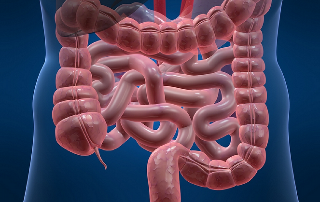 Οι 7+1 τρόποι για να «καθαρίσετε» το έντερό σας