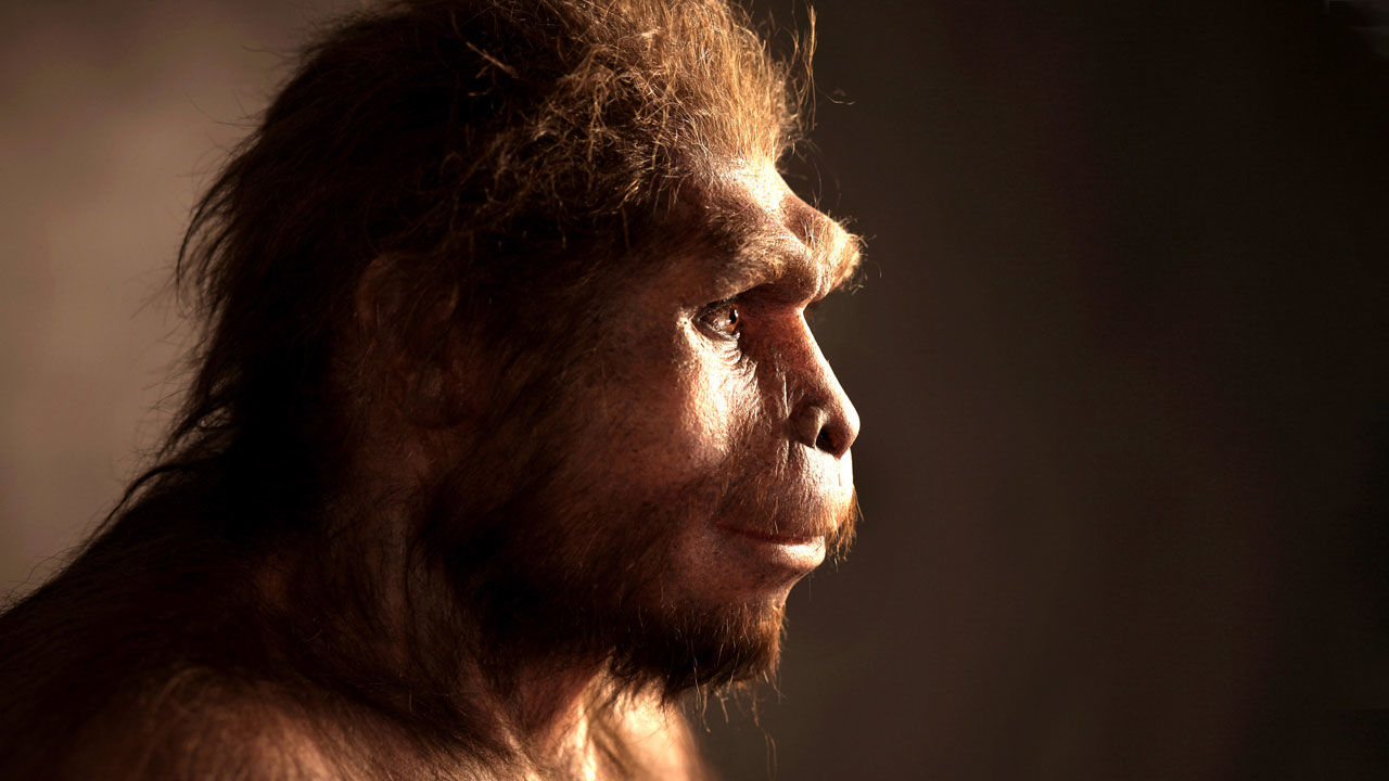 Βρέθηκε κρανίο δύο εκατ. ετών – Είναι το αρχαιότερο απολίθωμα «Όρθιου Ανθρώπου» (φώτο)