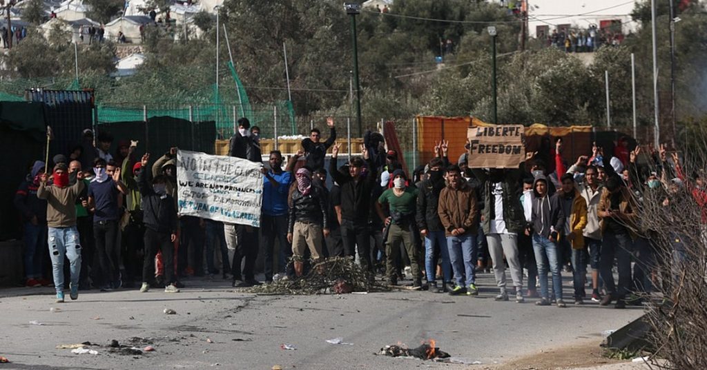 Μόρια: Εικόνες καταστροφής από τους αλλοδαπούς – Χιλιάδες ελαιόδεντρα κομμένα – Αποψιλώνουν ολόκληρες εκτάσεις