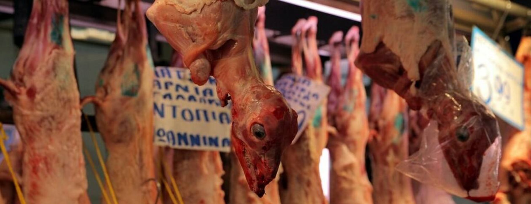 ΠΟΚΚ: «Να εφαρμοστεί το σύστημα «ΑΡΤΕΜΙΣ» σε όλο το φάσμα της διατροφικής αλυσίδας»