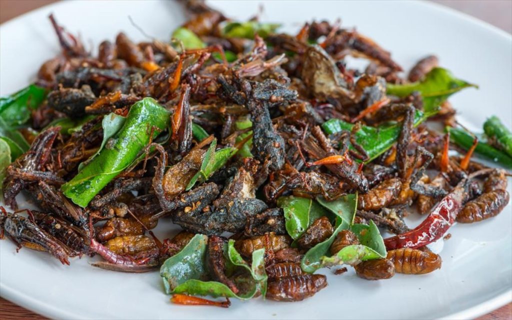 Αυτά που έρχονται: Θα τρώμε έντομα και ότι θα … τυπώνουν 3D printers (βίντεο)