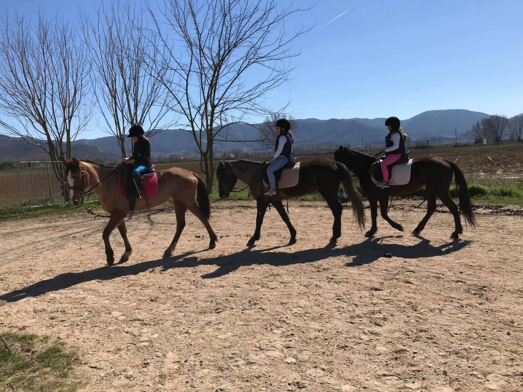 Απάνθρωπη πράξη στην Καβάλα: Παραβίασαν στάβλο για να δηλητηριάσουν 9 άλογα (φώτο)