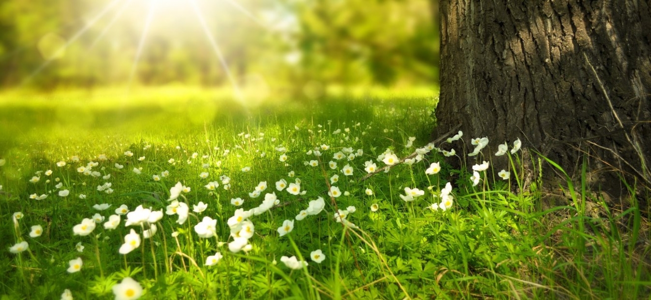 Καιρός: Η πρόβλεψη για τις μέρες του Πάσχα