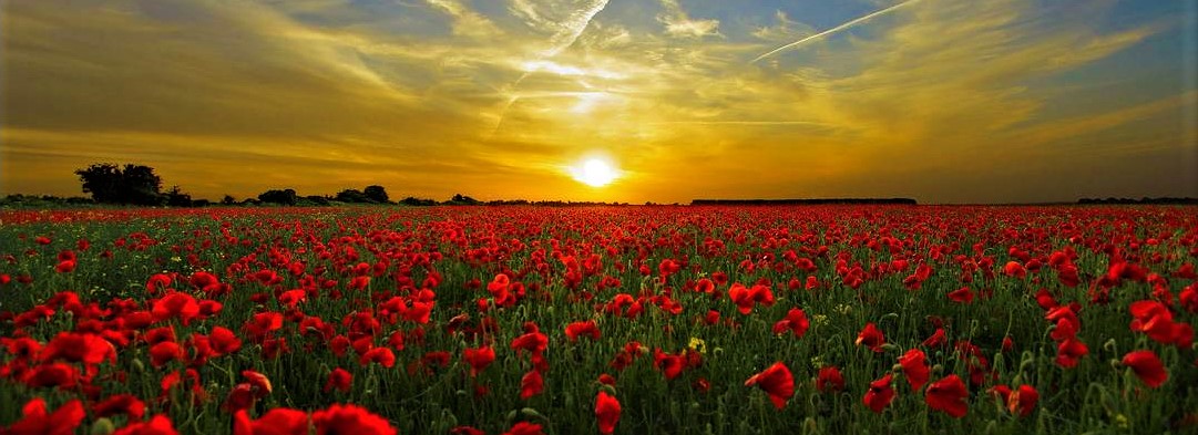 Καλοκαίρι μέχρι Τρίτη του Πάσχα! – Μετά διήμερος «χειμώνας» στα βόρεια & επιστροφή της άνοιξης από Πέμπτη του Πάσχα