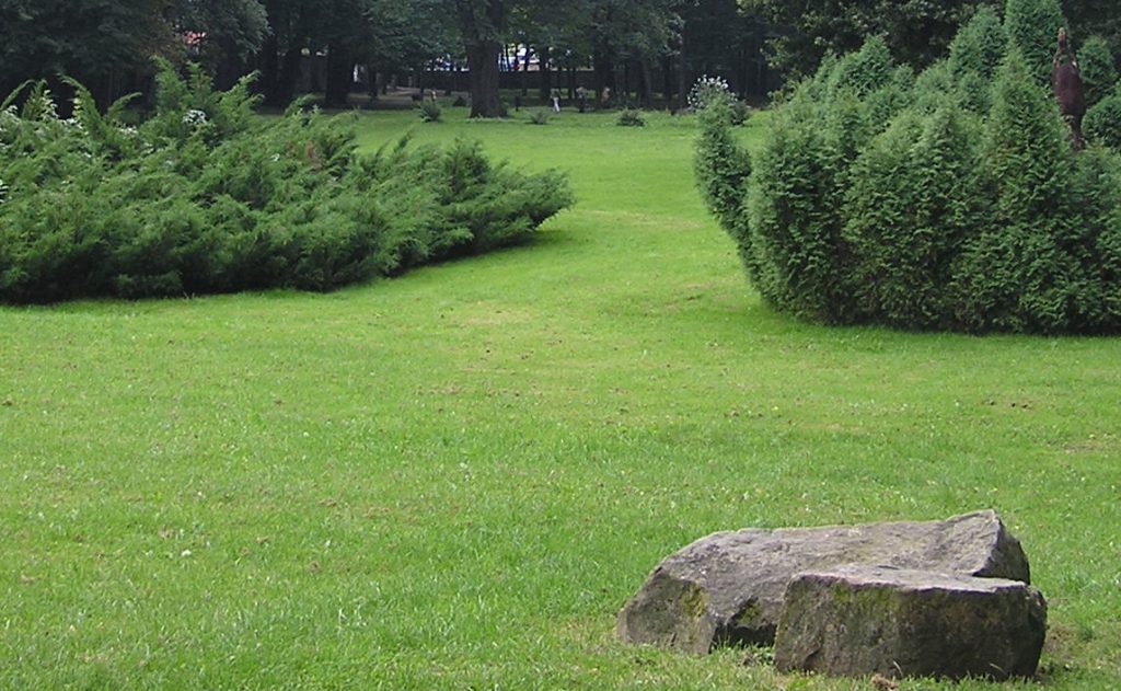 Εσύ ήξερες ότι η  μυρωδιά του φρεσκοκομμένου χορταριού είναι… επικίνδυνη;