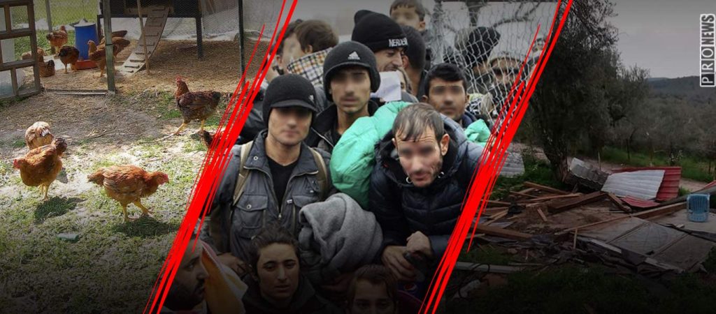 Έκαναν πλιάτσικο οι «ευάλωτοι πρόσφυγες» στη Χίο: «Σήκωσαν» μέχρι και κοτέτσια (φώτο)