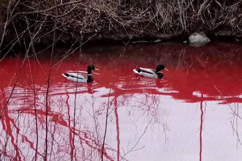 Ανατριχιαστικές εικόνες από «το ποτάμι του αίματος» στη Ρωσία