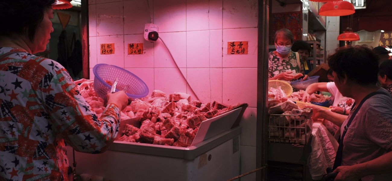 Αμερικανός επιστήμονας για κορωνοϊό: «Η υπερβολική εισβολή της ανθρωπότητας στη φύση η πραγματική αιτία της πανδημίας»