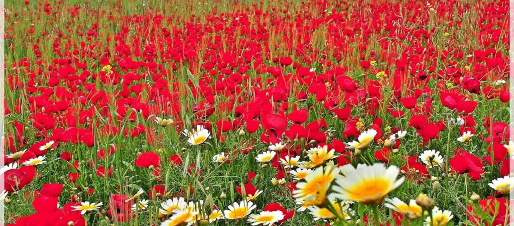 Εορτασμός Πρωτομαγιάς: Τι αλλάζει για το φετινό τριήμερο