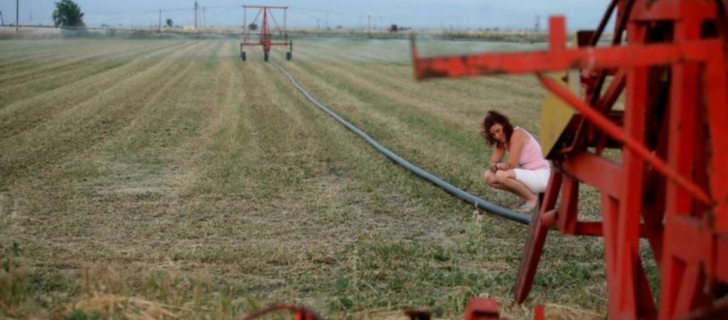 Παράταση για ένα μήνα πήρε η προθεσμία υποβολής των δηλώσεων ΟΣΔΕ