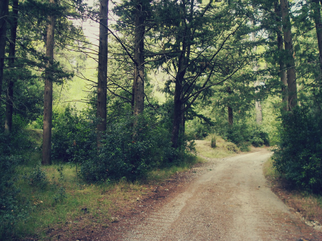 Αυτή είναι η ελληνική διαδρομή που βρίσκεται ανάμεσα στις 10 καλύτερες τουριστικές διαδρομές του κόσμου