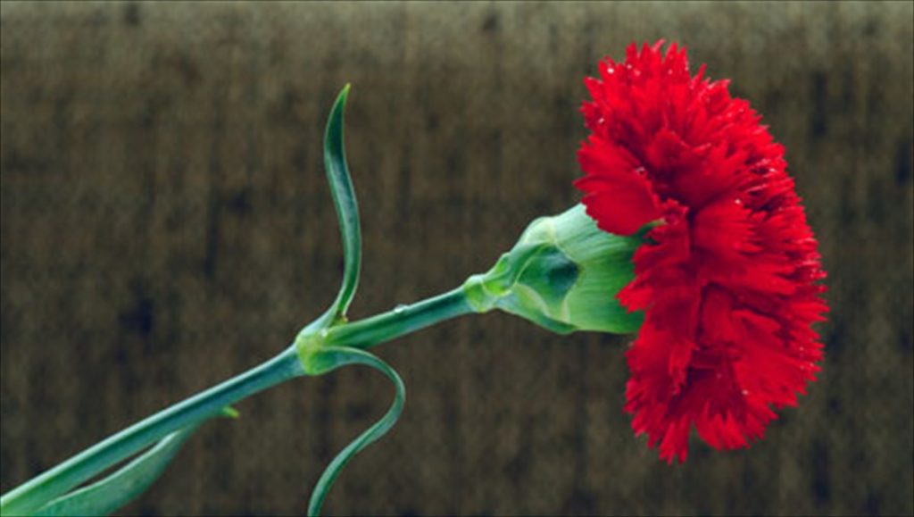 Πρωτομαγιά: Τι θα έπρεπε να γνωρίζεις για την Παγκόσμια Ημέρα των εργαζομένων;