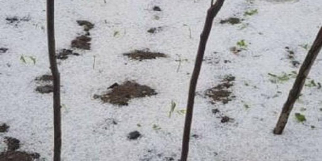 Ξάνθη: Εικόνες από την πυκνή χαλαζόπτωση στα ορεινά του νομού