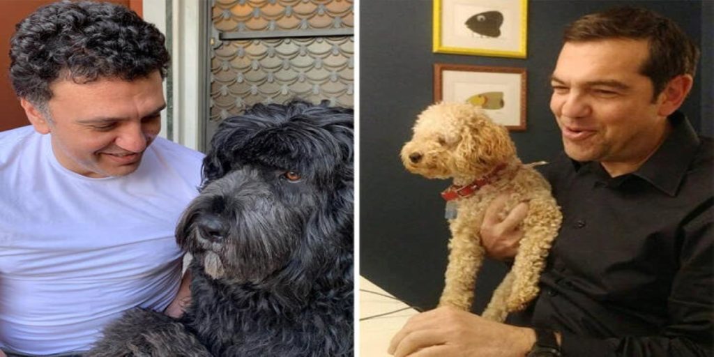 Δείξε μου το σκύλο σου…: Αυτά είναι τα κατοικία των πολιτικών που γνωρίσαμε μέσα στην καραντίνα (φώτο)